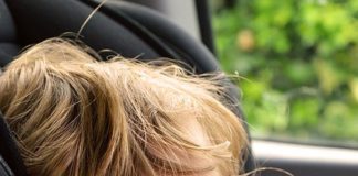 Why Do Dogs Eat Poop?