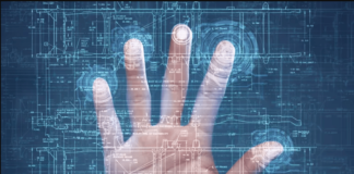 Why Do We Have Fingerprints?