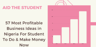 57 Most Profitable Business Ideas in Nigeria For Student To Do & Make Money Now