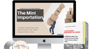 Mini importation Business in Nigeria- Simplified for Beginners