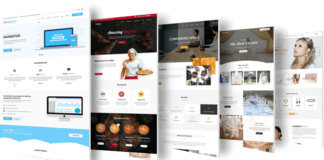 500+ Free Premium WordPress Themes(Best Sellers)