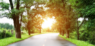 Why Does the Road Look Wet on Hot Days?