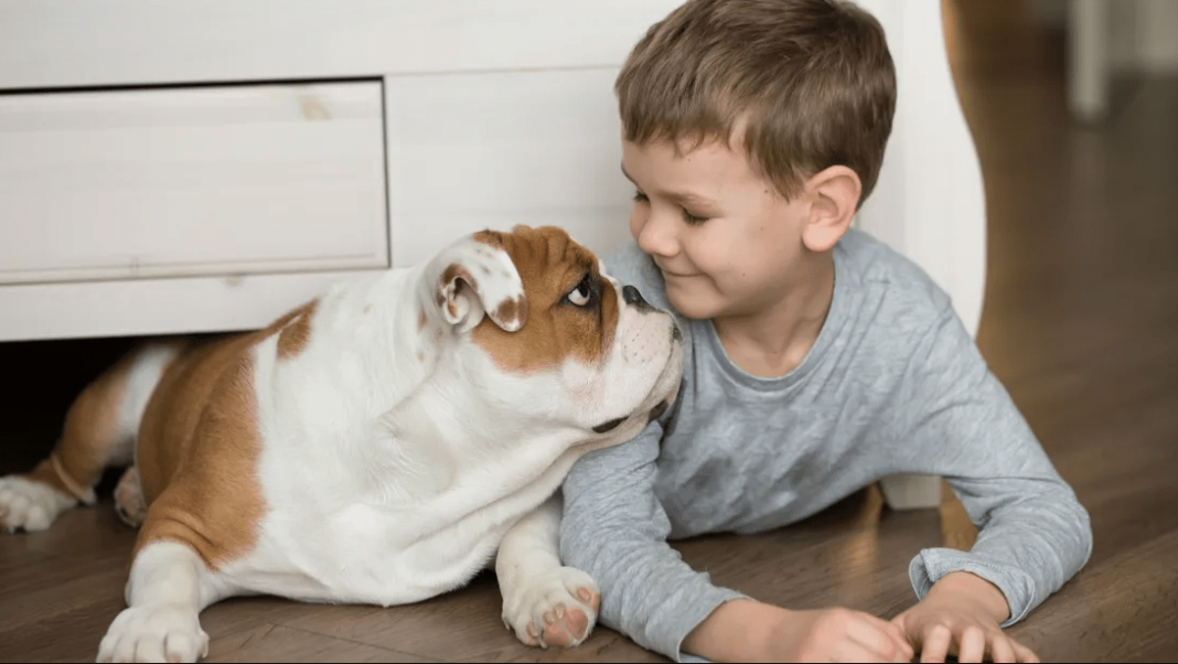 Is a Dog’s Mouth Really Cleaner Than a Human’s? Is a Dog’s Mouth Really Cleaner Than a Human’s?