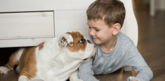 Is a Dog’s Mouth Really Cleaner Than a Human’s?