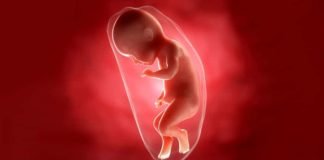 Do Fetuses Go to the Bathroom in the Womb?