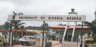 UNN Courses: Undergraduate