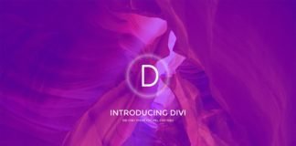 Making Website Using DIVI