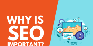 Why SEO is Important for Your Business