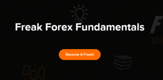 Freak Forex Fundamentals