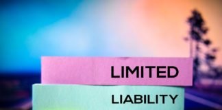 Understanding Limited Liability Company in Nigeria