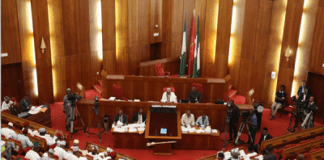 The Salary of Nigerian Senators: All you need to know