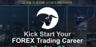 Anmol Singh – How To Become A Forex Pro Trader
