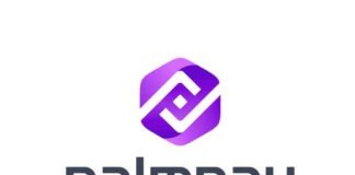 PalmPay: Features, how to use and make money