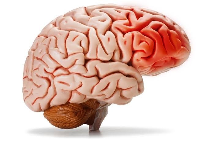 5 Foods That Damage Your Brain