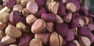 6 Unknown Health Effects Of Kola Nuts 6 Unknown Health Effects Of Kola Nuts