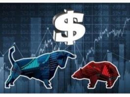 Beginners Guide to Stock Market Investing