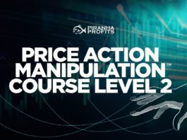 Price Action Manipulation Course Level 2