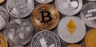 10 Bitcoin alternatives for long term investment