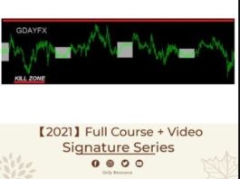 GDay – Signature Series