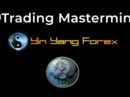 Trading Mastermind – Yin Yang Forex Training Program
