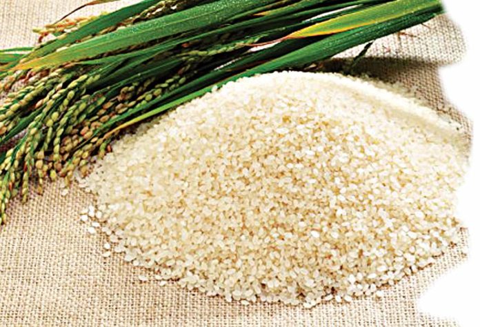 How to start rice farming in Nigeria