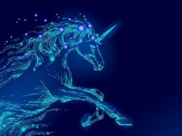 african unicorns startup