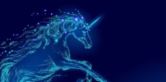 Top 5 tech unicorns in Africa african unicorns startup