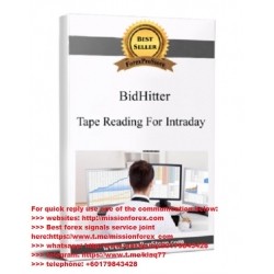 BidHitter – Tape Reading For Intraday