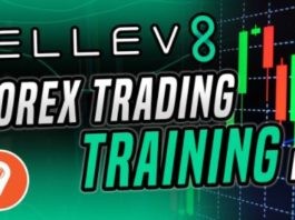 Elev8 Forex Trading Course