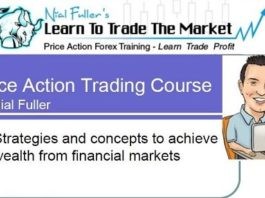 Nial Fuller - Price Action Trading Course