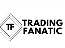Trading Fanatic – The TFDW Bundle
