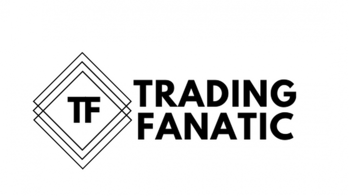 Trading Fanatic – The TFDW Bundle (Updated 2022) Trading Fanatic – The TFDW Bundle