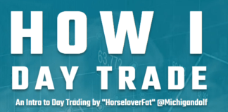 Intro to Day Trading by @Michigandolf horselover - michigan - into to day trading