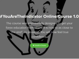FXPro Now – You Are The Indicator Online Course 1.0
