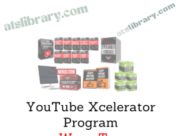 Wyse Team – YouTube Xcelerator Program