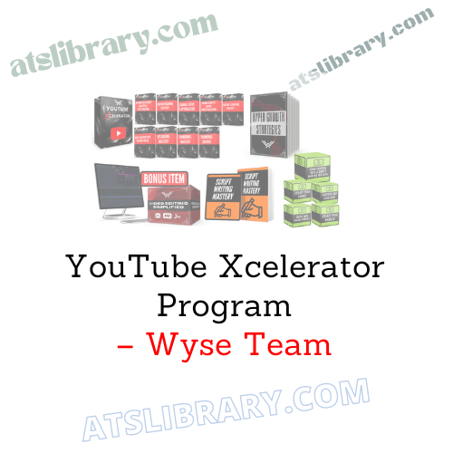 Wyse Team – YouTube Xcelerator Program