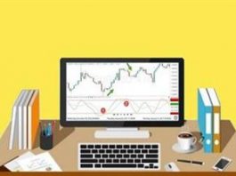 Learn Forex Trading from Scratch – Join Live Trading Club