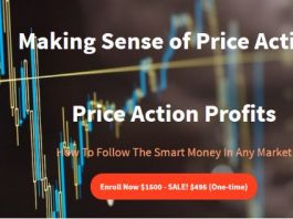 Making Sense of Price Action – Price Action Profits