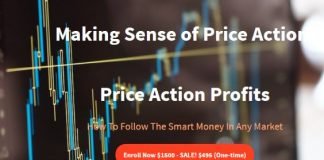 Making Sense of Price Action – Price Action Profits Making Sense of Price Action – Price Action Profits