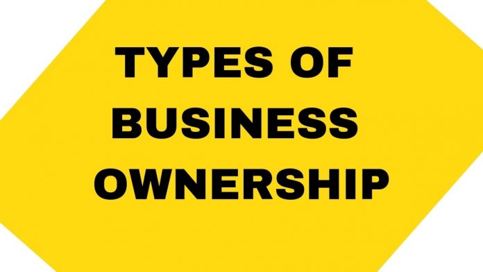 Types of Business Ownership & the Pros and Cons of Each