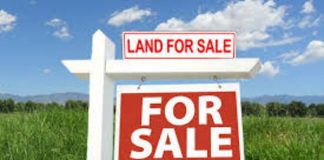 Understanding the basic steps for land purchase in Nigeria Understanding the basic steps for land purchase in Nigeria