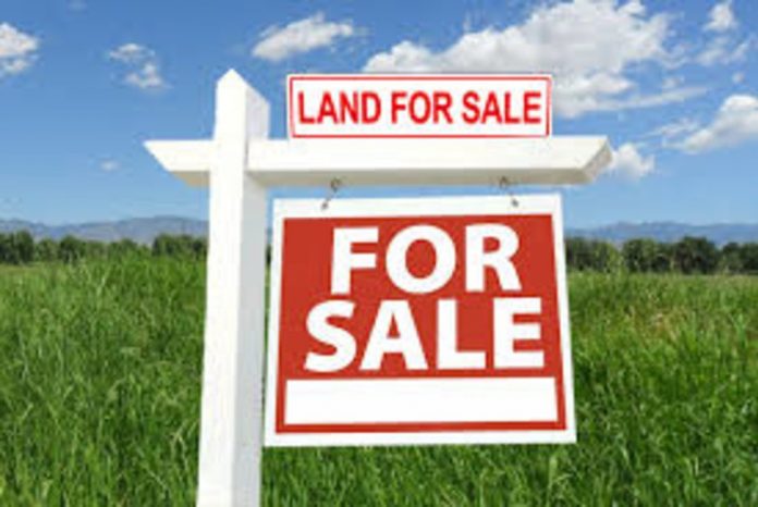 Understanding the basic steps for land purchase in Nigeria