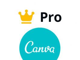 Canva: How to use, create designs, Canva Pro & more