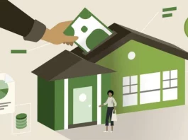 Asset: Meaning, types, classification and more