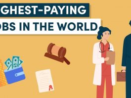 10 Highest paying jobs in the world (2023)