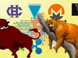 Altcoin Crypto ( Master Class ) Bull Run or Bear Market Course