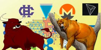 Altcoin Crypto ( Master Class ) Bull Run or Bear Market Course Altcoin Crypto ( Master Class ) Bull Run or Bear Market Course