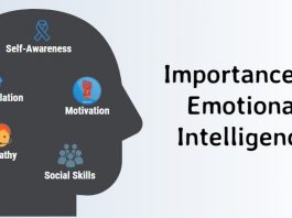 The role of emotional intelligence in career success