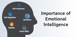 The role of emotional intelligence in career success The role of emotional intelligence in career success