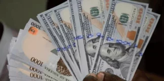 5 Ways to earn in dollars in Nigeria (2024) 5 Ways to earn in dollars in Nigeria (2024)